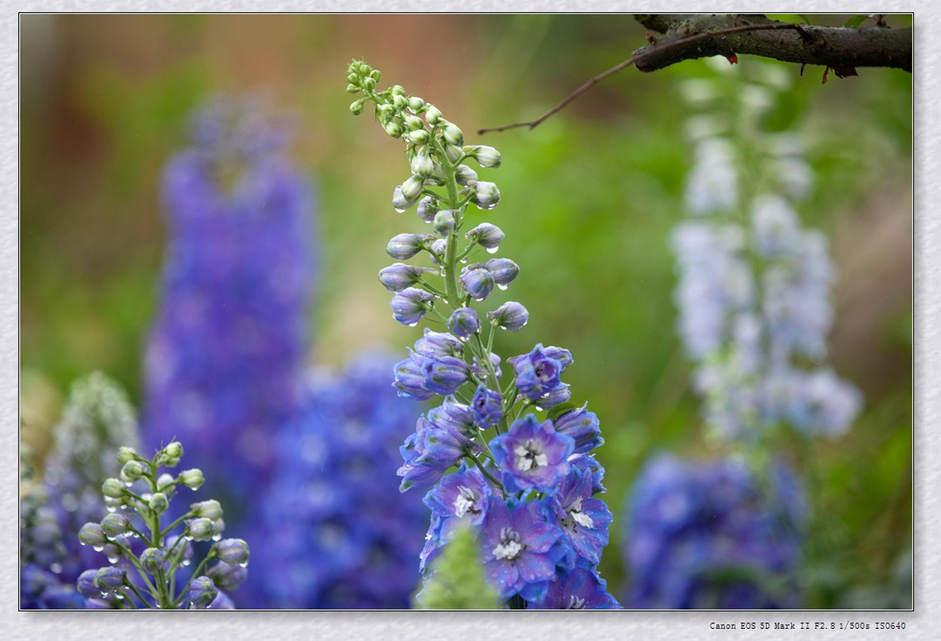 常州旅游东方盐湖城,骆驼之旅视频