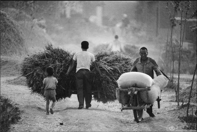 乡土中国费孝通完整版,乡土中国费孝通人情世故