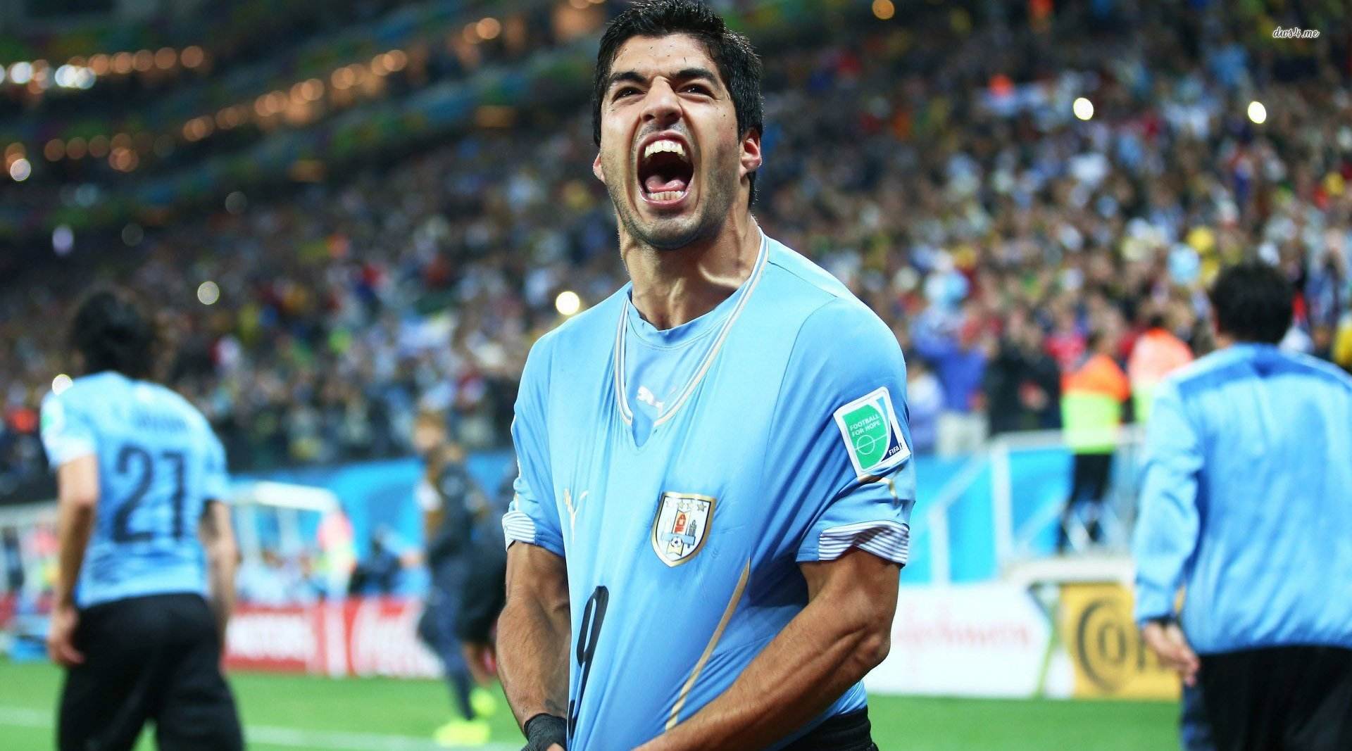 足坛排名巴乔,足坛巨星排行贝肯鲍尔