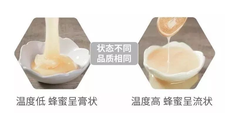 甘甜营养椴树蜜,甜甜的椴树蜜