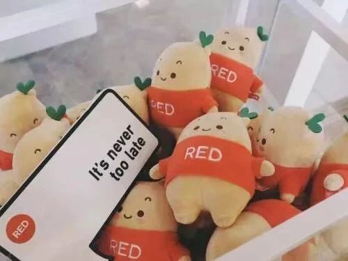 20天过去了，那些小红书天台上的KOL还OK吗？