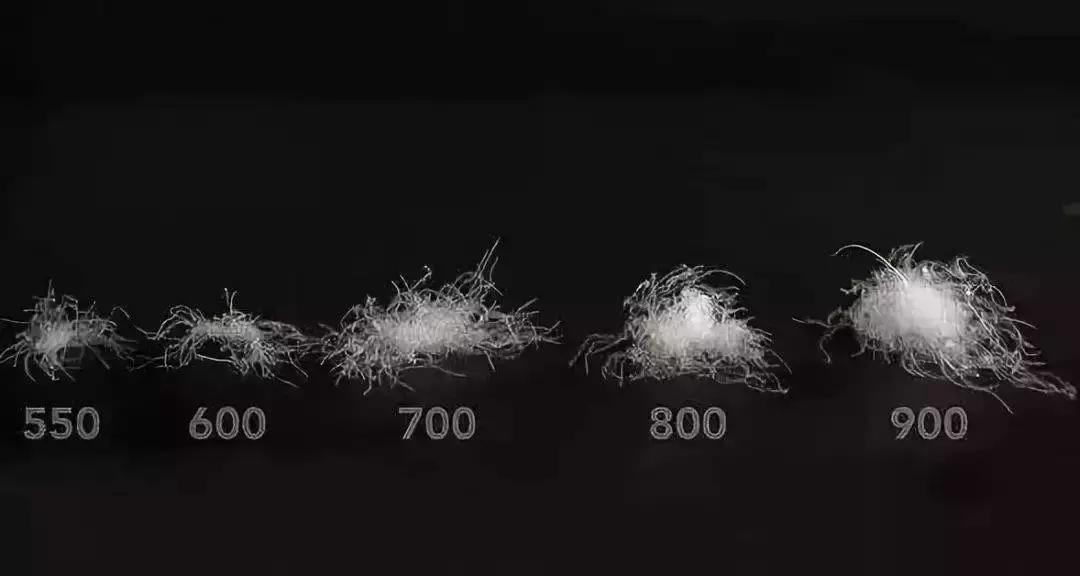 还没买羽绒服抓紧的文案,还在纠结买什么羽绒服