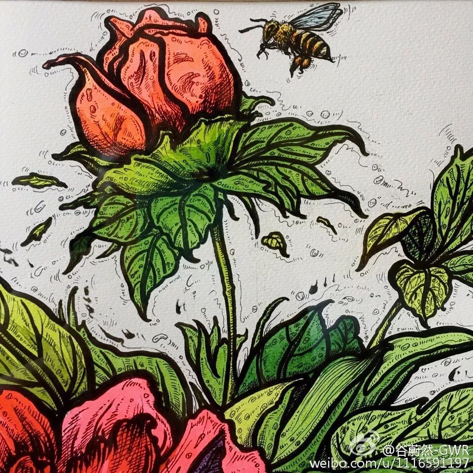 简单针管笔手绘花,简单易学针管笔手绘