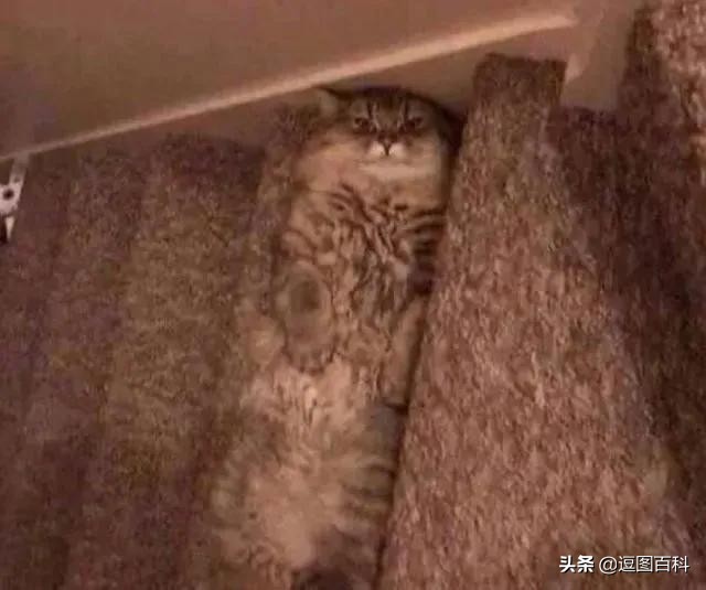 高铁可以在前一个站坐车么,高铁坐过站出得去吗