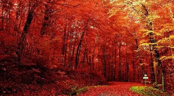 中国最美的100个地方重庆,重庆永川世外桃源