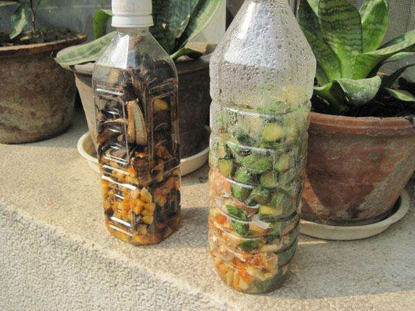 养花多长时间浇一次营养液,养花便宜又好养