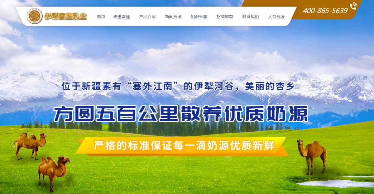 伊犁雪莲乳业有限公司直播间,伊犁雪莲乳业技改转型