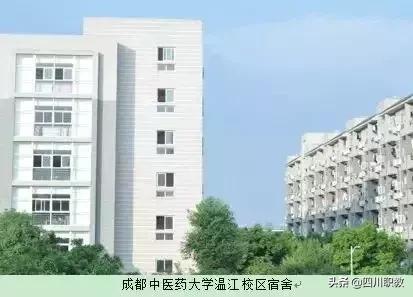 川大宿舍是几人一间,川大一寝室12人全部读研