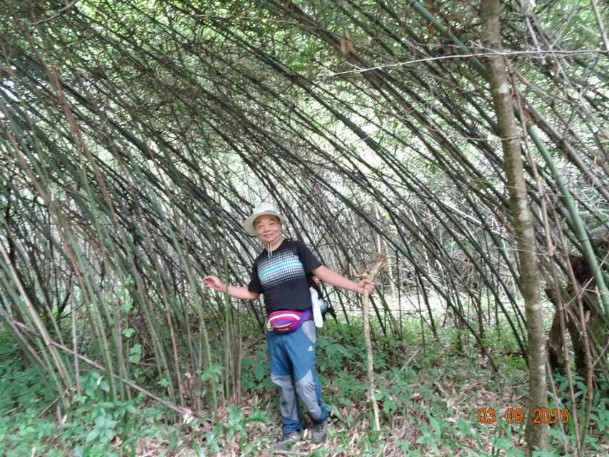 西漂湾瀑布群,建始西漂湾瀑布群