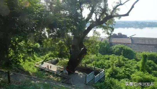 朱亭老街图片,朱亭古镇最新效果图