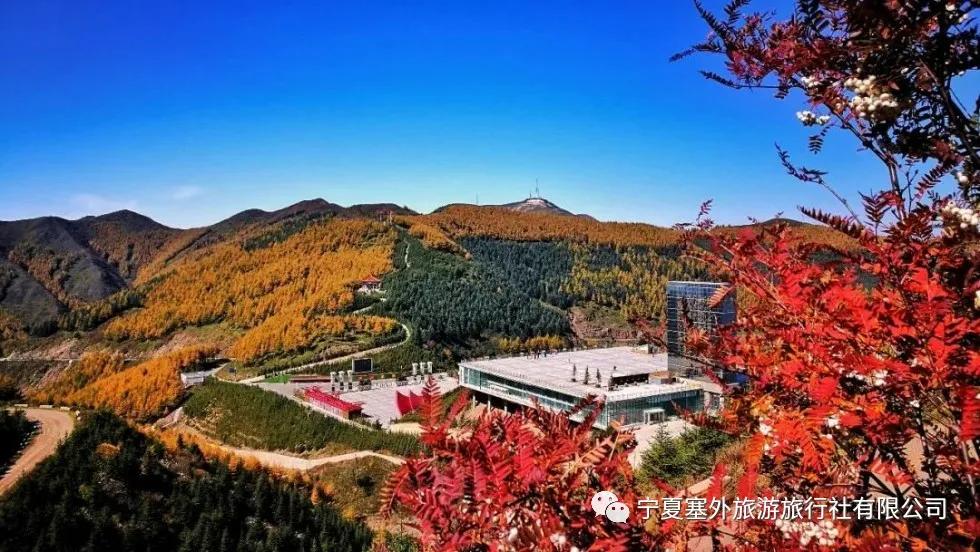 宁夏塞外旅游旅行社有限公司招聘,宁夏塞外旅游旅行社