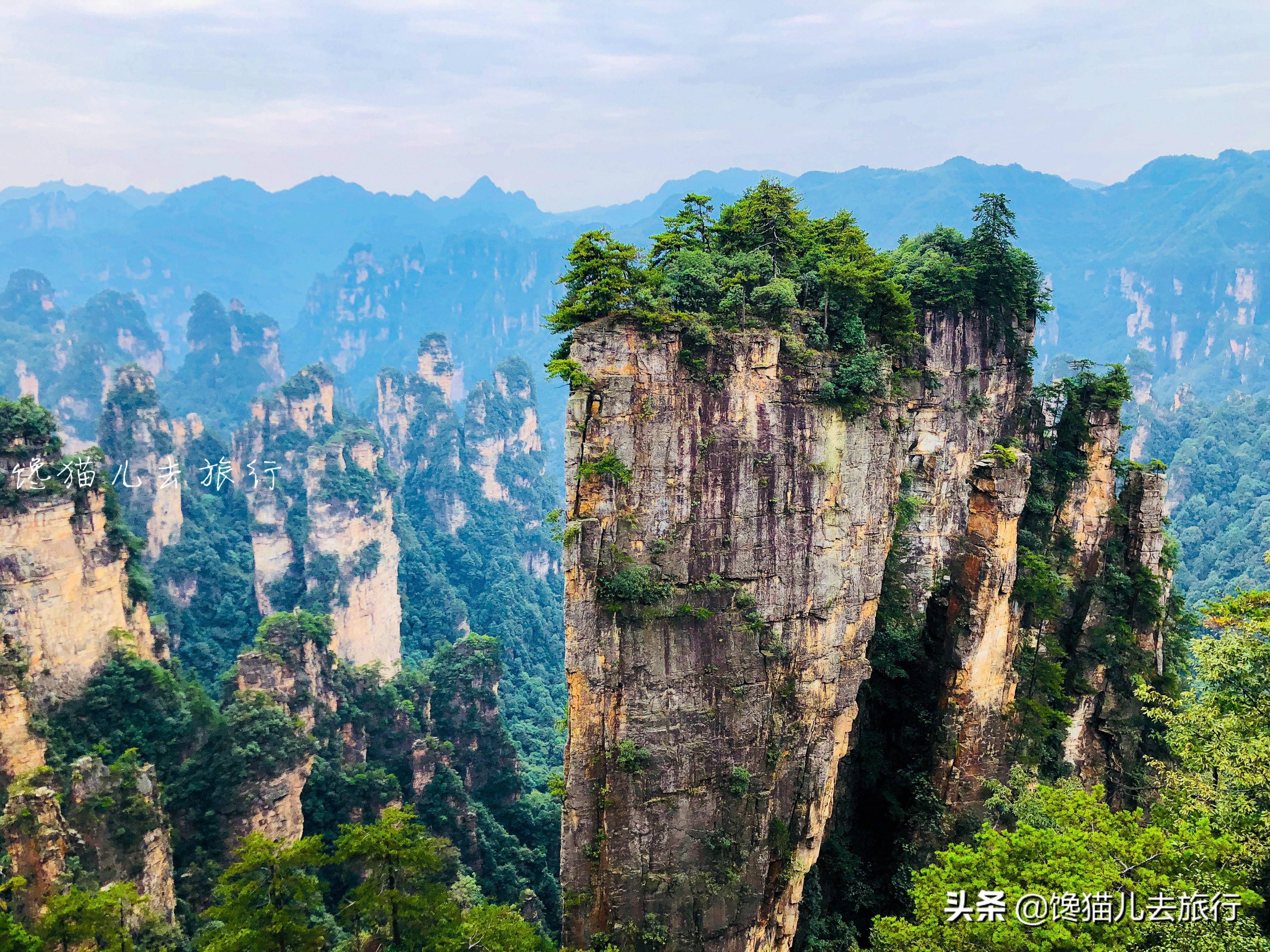 张家界旅游计划行程表模板,暑假旅游张家界攻略路线图简单版