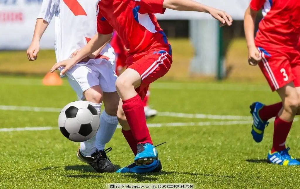 佳木斯世博国际幼儿园,佳木斯市海豚幼儿园有限公司