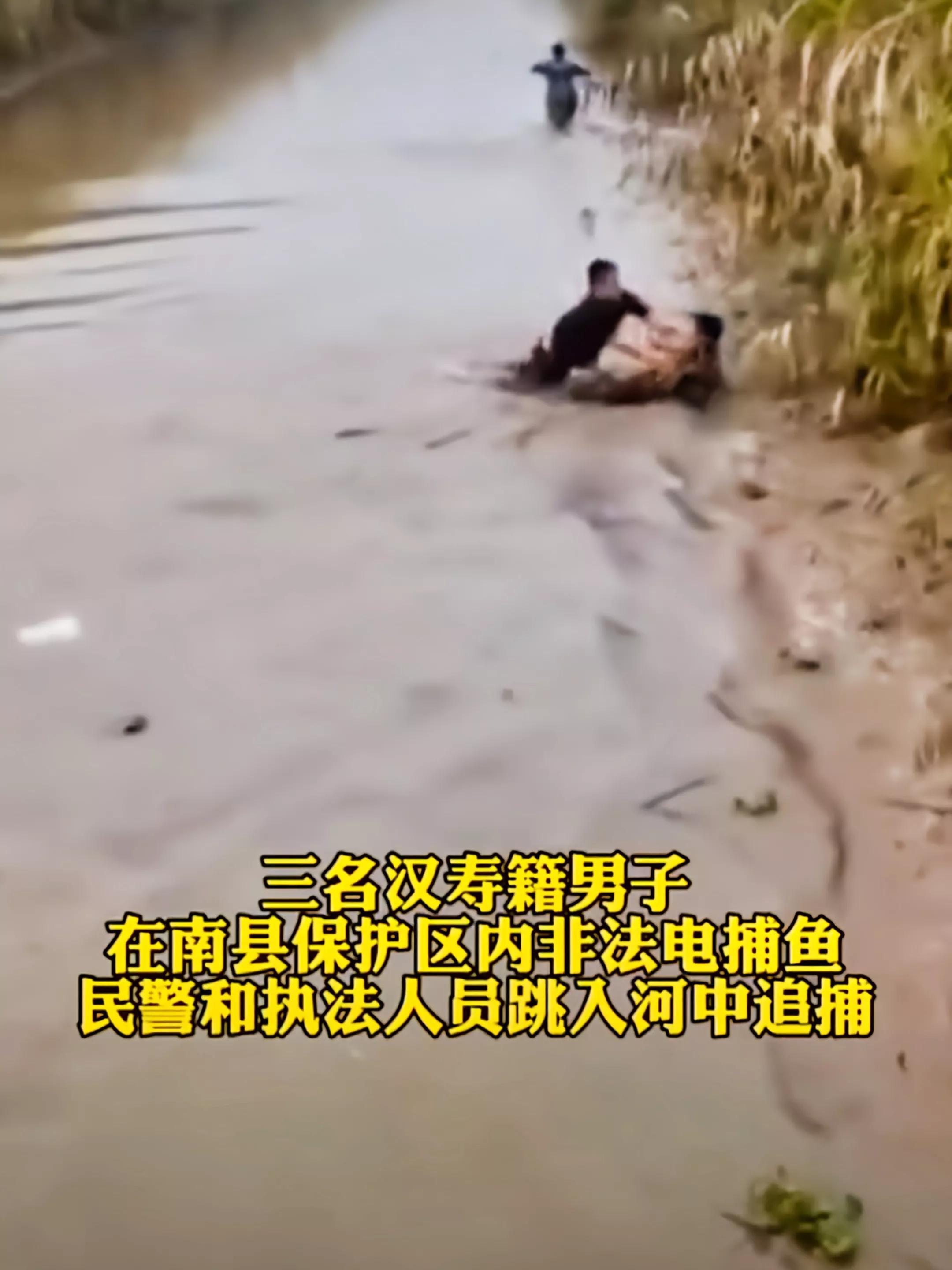 三男子非法电鱼南京,3名男子非法捕鱼600余斤