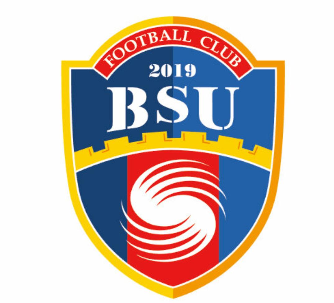 中国足球队历届队徽,中国足球队历年队徽变化