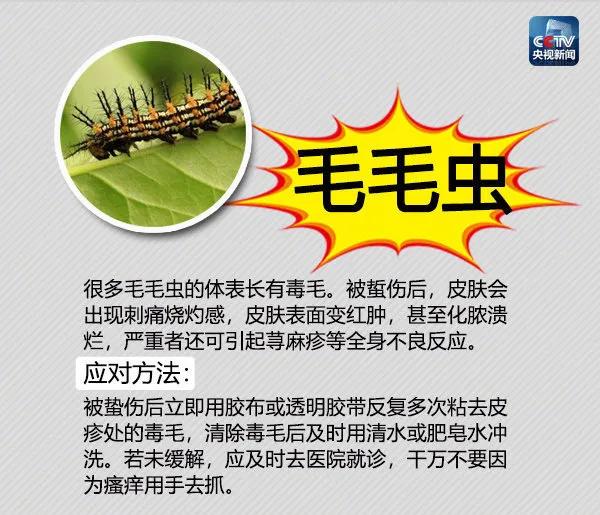 常年在垃圾桶旁边的蛇,垃圾桶里面有一条大蟒蛇