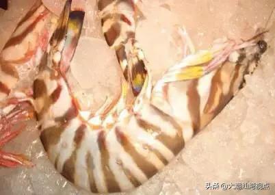 作为潮汕人，这89种海鲜你都能对上号吗