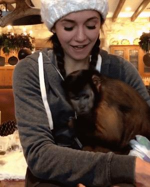 一进门就看见小蜜蜂在追着神奇女侠