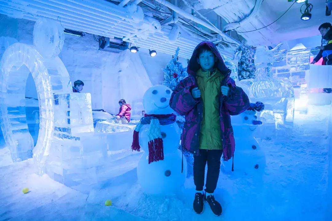 「亲子游」与万千海洋动物一起，夜宿探索极地海洋之美