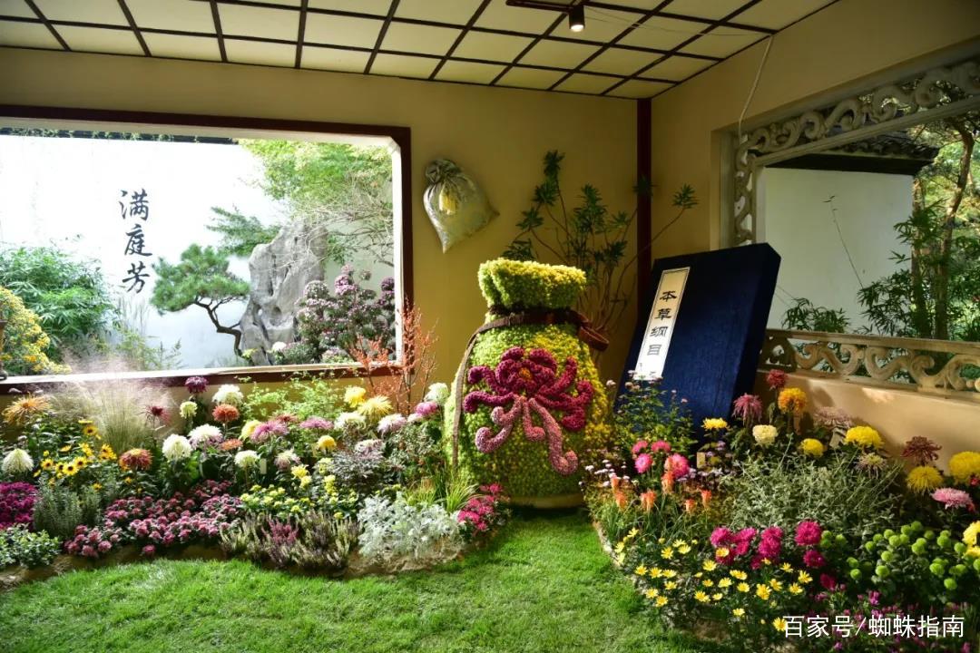 重阳节赏菊花的介绍,赏菊打卡好去处