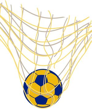 曼山小学足球赛,龙岩小学足球文化节