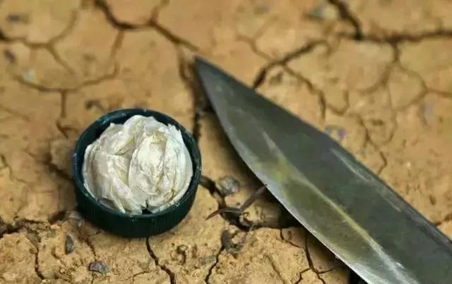 野外求生净化水的方法,野外生存取水的正确方法