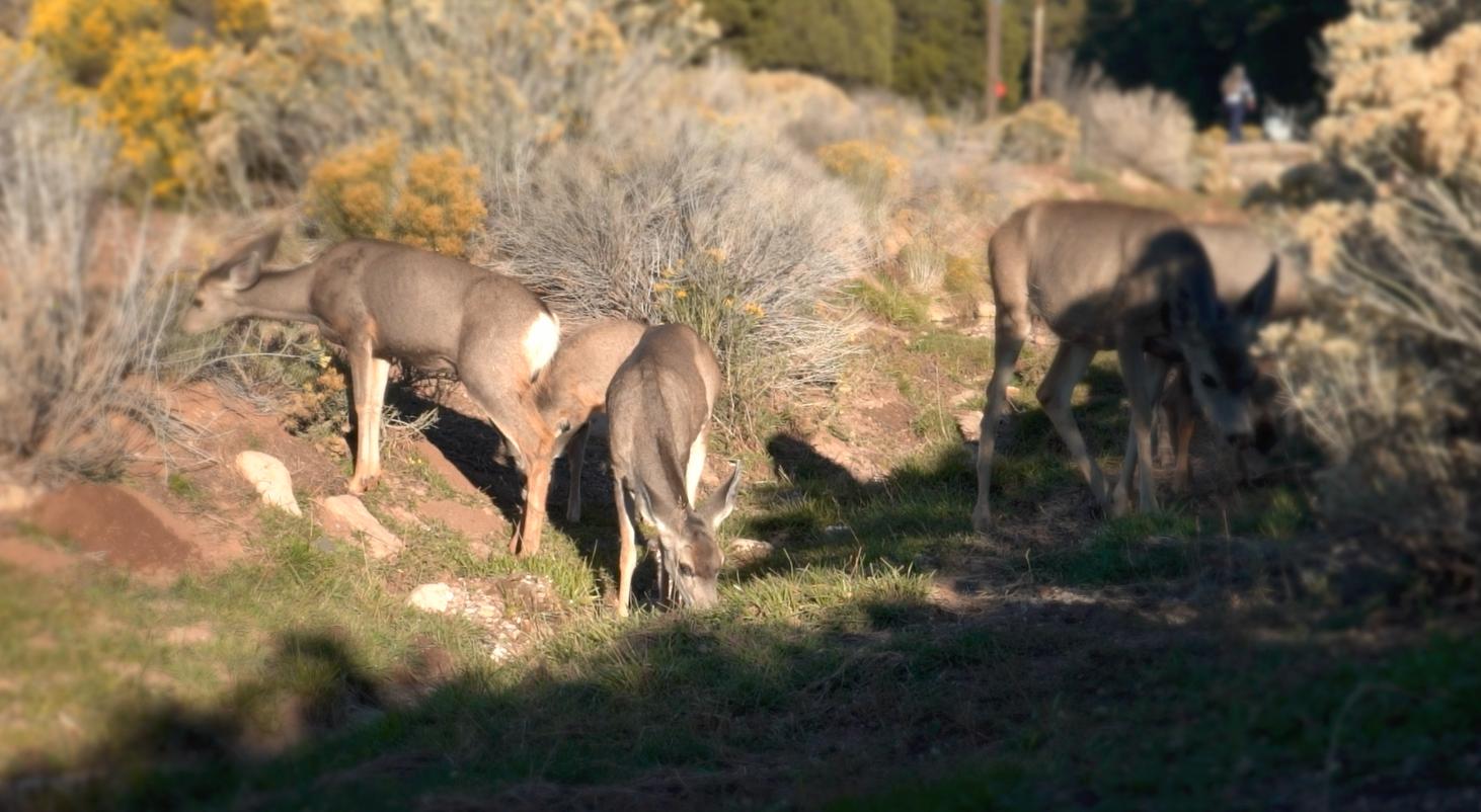 西藏旅拍设备,自驾旅拍设备