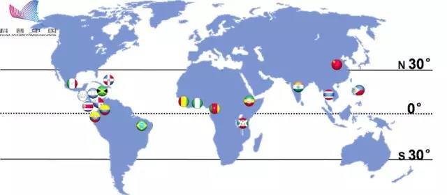 香蕉发展史,香蕉起源与进化