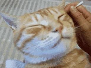 情侣之间“舔耳朵”的风险很大：小心鼓膜穿孔、听力下降