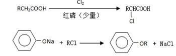 高中化学有机物的推断质量分数,高中化学选修五有机物讲解