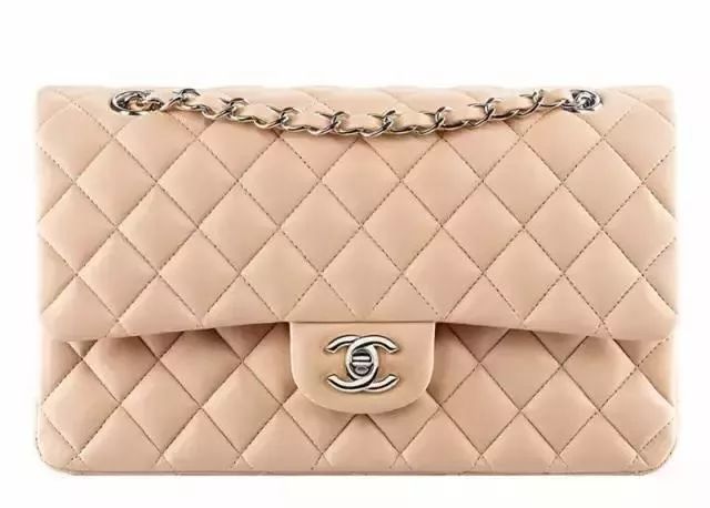 最近很流行的垃圾分类包包图片,垃圾包都有哪些