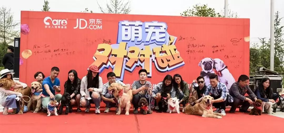 宠物医院会越来越赚钱吗,宠物医院为什么这么会赚钱