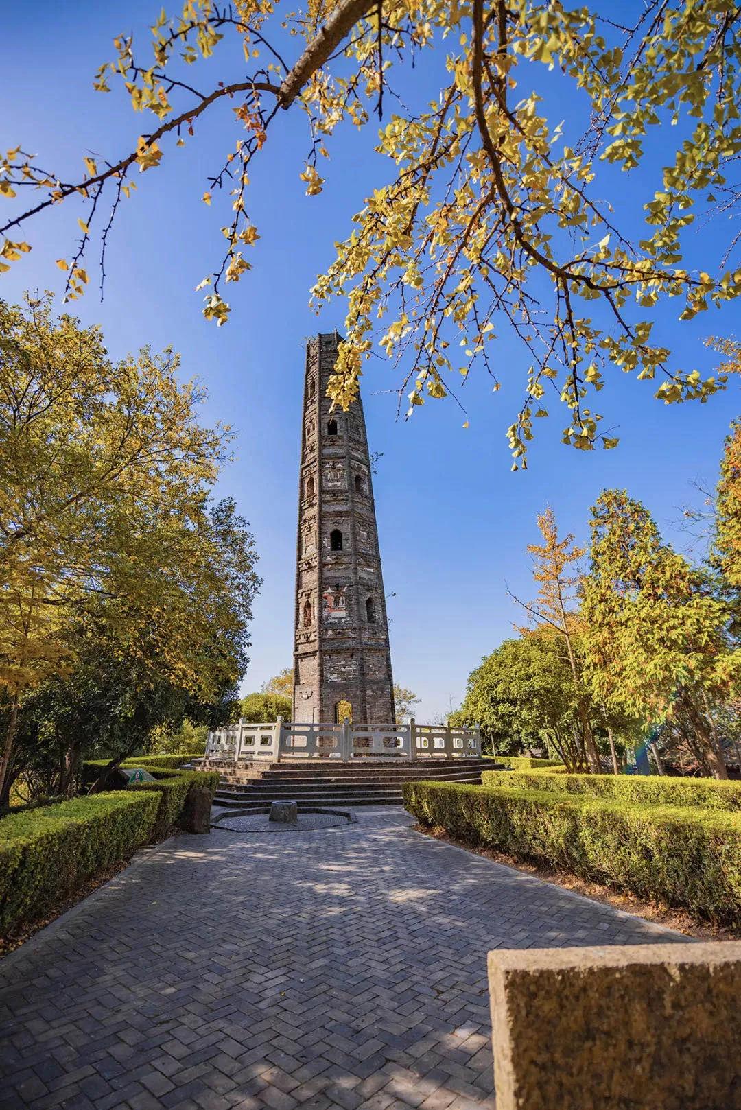 佘山国家森林公园五一,佘山国家森林公园在哪里预约入园