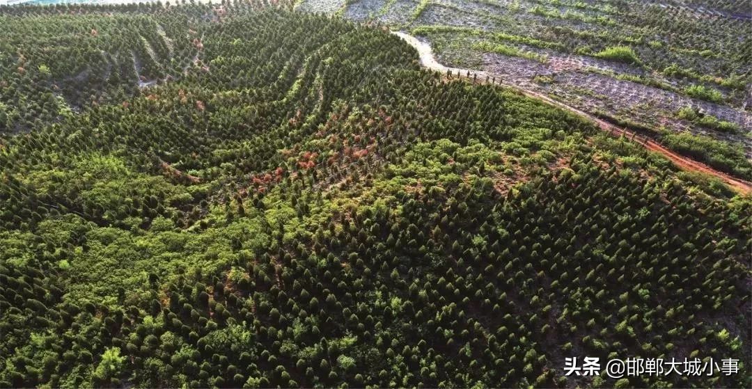 武安是个好地方有山有水有文化——第四届邯郸市旅游产业发展