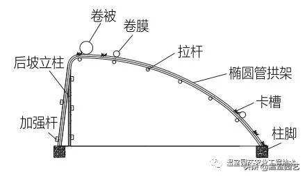 温室的设计与建造,如何建温室节约成本