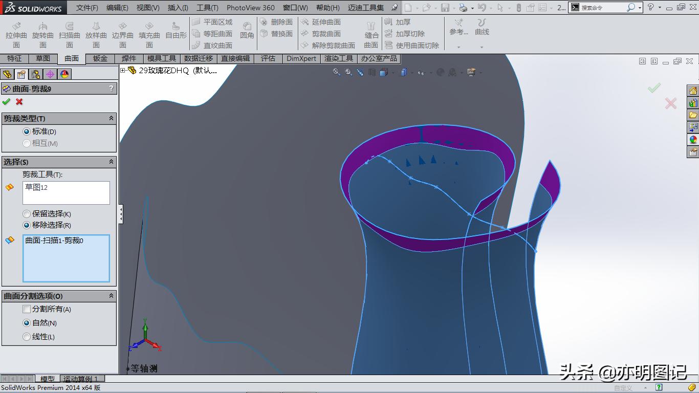 solidworks玫瑰花建模教程,2022solidworks制作玫瑰花