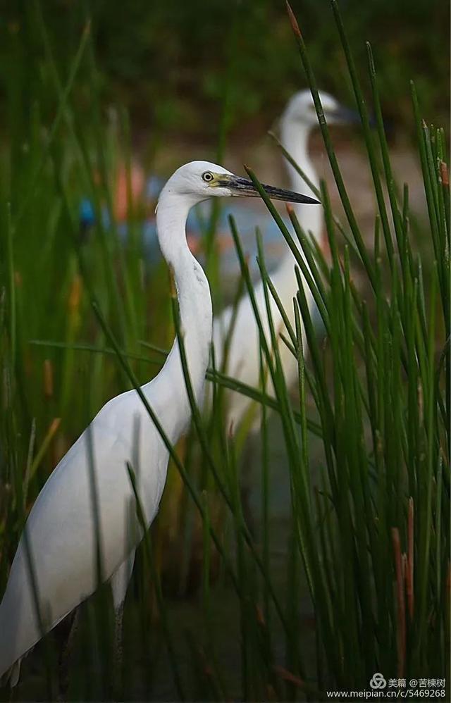 清新优雅空气新鲜是休闲的好地方,龙岩静心的地方