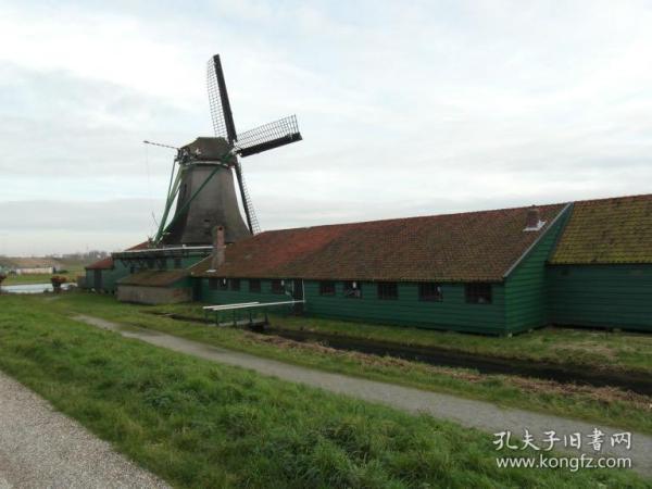 水印相机拍照未保存怎么找回来,图片怎么去水印