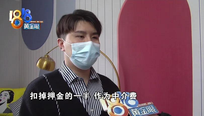 养了十多天的猫损失了几万元,偷偷养只猫最后全军覆没