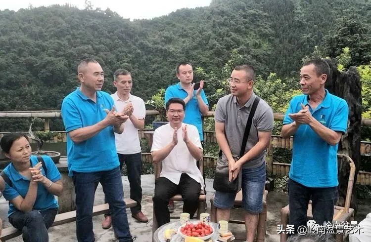 广东的盆景有哪些,适合广东玩的盆景