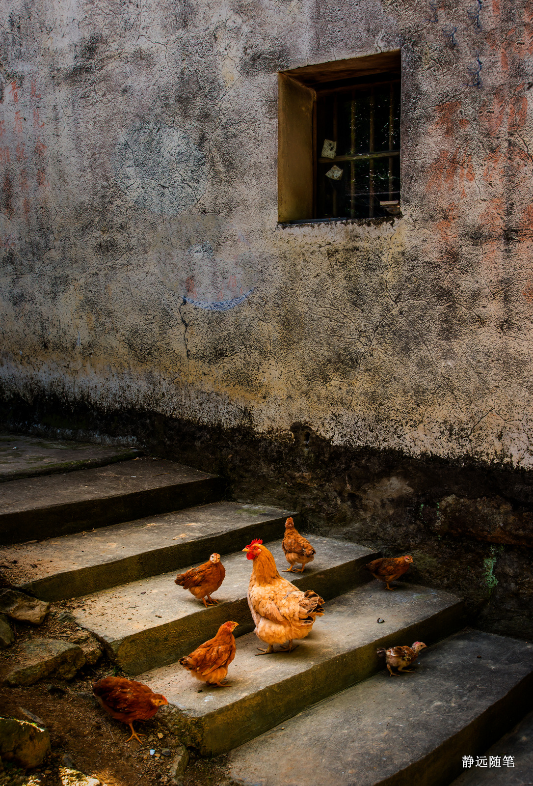 浙江富阳上官球拍有限公司,富阳上官乒乓球拍厂