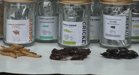 日本产自动无人售货机,日本卖快餐的自助贩卖机