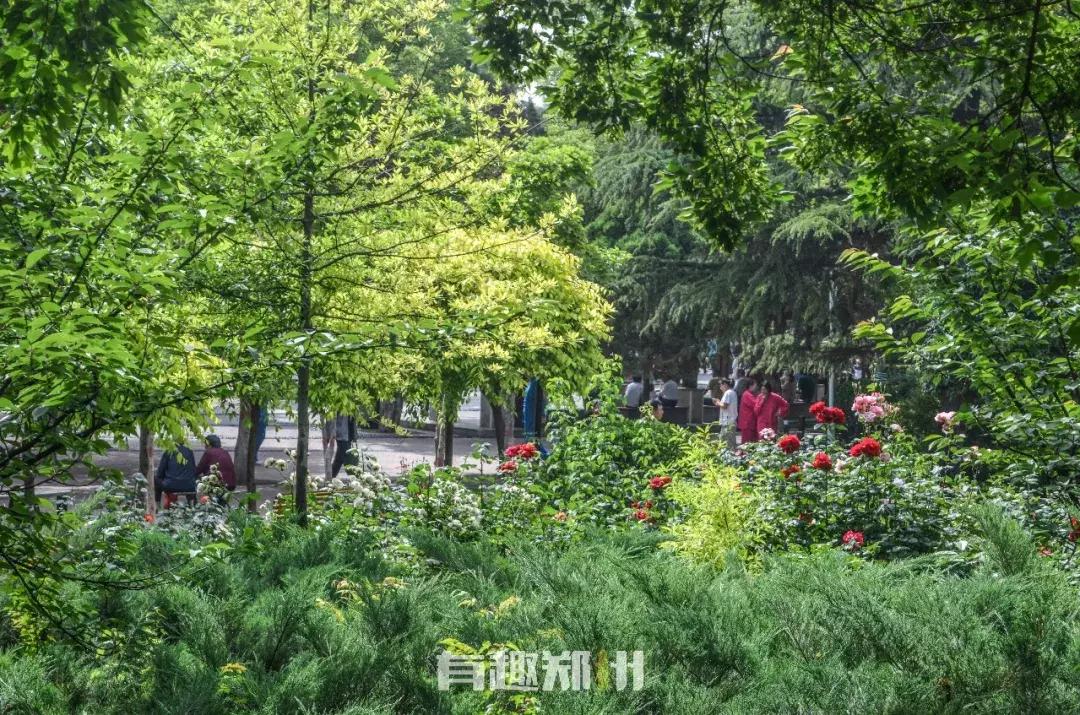 郑州地铁五号线游玩攻略秋季,郑州地铁与5号线沿途有哪些景点