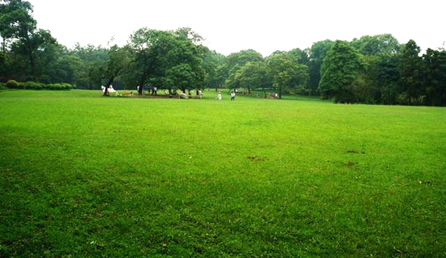 成都向西看最高的山,成都最高的山峰