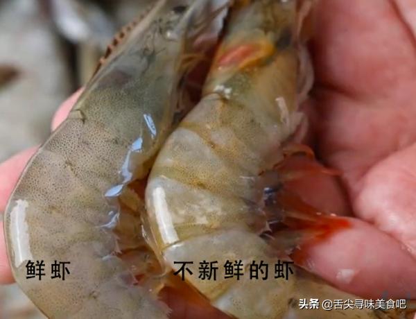 冻虾为什么不能买活虾,冻虾怎么选才是新鲜冻的