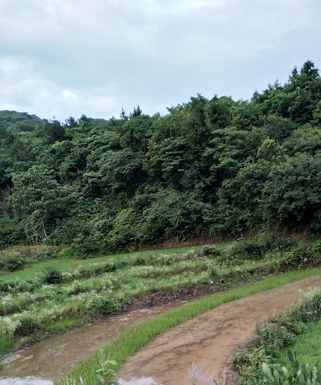 姹借溅杩介珮閾佺殑鐖辨儏鏁呬簨,鍑开鎷夊厠杩介珮閾佺殑鐖辨儏鏁呬簨