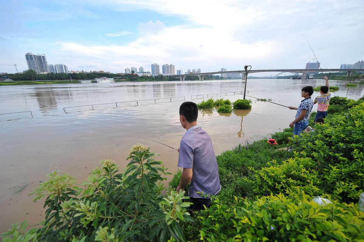 市面上的曲酒有哪些可以泡窝料,泡窝料专用药酒