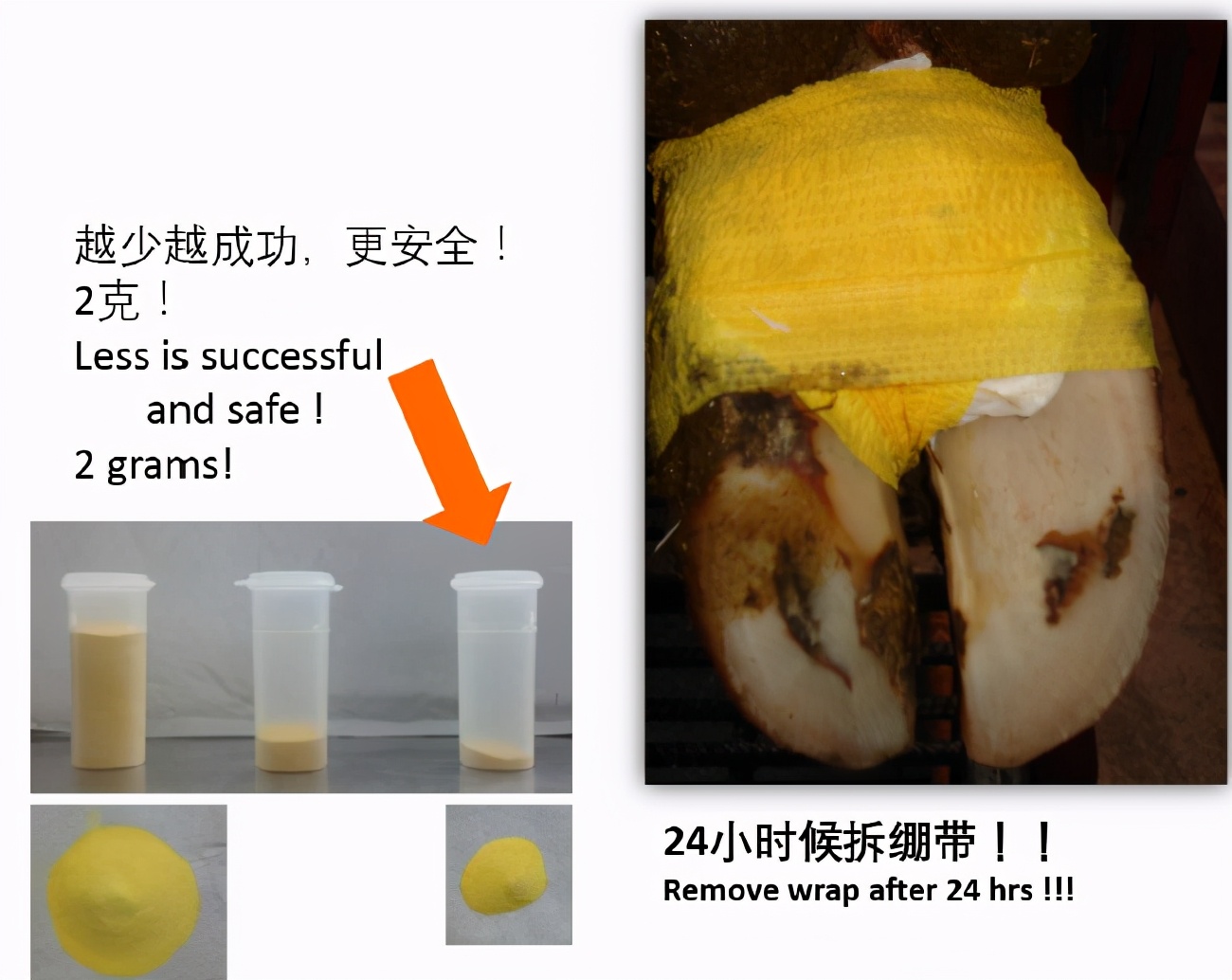 蹄病的种类和治疗方法,蹄病的预防与治疗