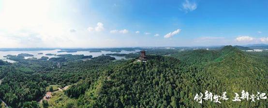 五新贵池六大行动具体指什么,五新贵池指哪五新