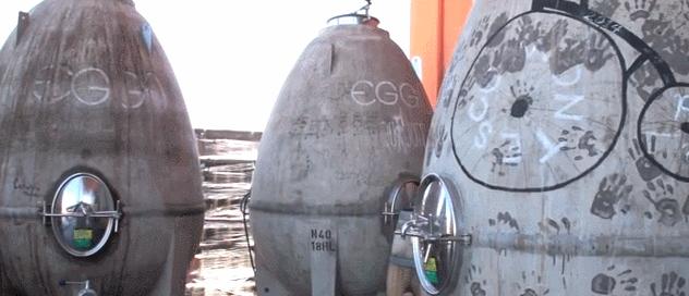 一瓶真正的自然酒的诞生丨Zorzal酒庄专访